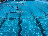 IMG_2542.jpg