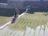 IMG_2568.jpg