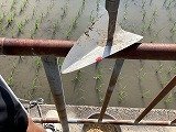 IMG_2557.jpg