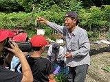 画像 -20250527-000833-ae2451b2.jpg