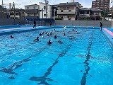 IMG_2536.jpg