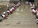 IMG_2466.jpg