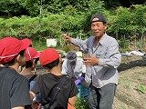 画像 -20250527-000843-b877c11c.jpg
