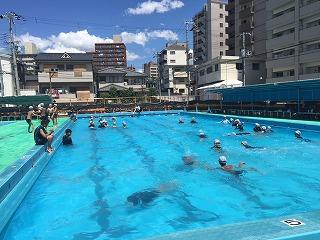 IMG_7982.jpg