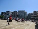 CIMG0863.jpg
