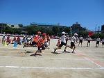 CIMG0887.jpg