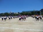 CIMG0901.jpg