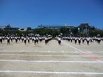 CIMG1005.jpg