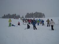 IMG_2364.jpg