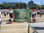 IMG_3338.jpg