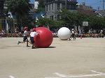 IMG_3558.jpg