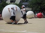 IMG_3570.jpg