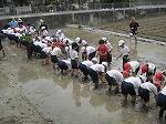 IMG_3687.jpg