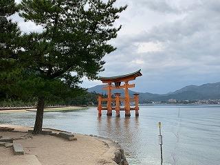 IMG_4313.jpg