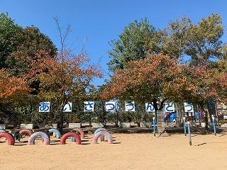 IMG_4426.jpg