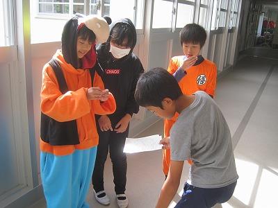 IMG_4767.jpg