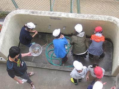IMG_5784.jpg