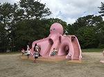 IMG_7335.jpg