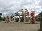 IMG_7339.jpg