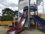 IMG_7342.jpg
