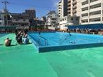 IMG_7736.jpg