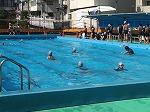 IMG_7737.jpg