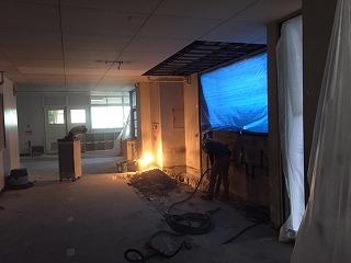 IMG_7784.jpg