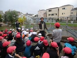 aくわい0363.jpg