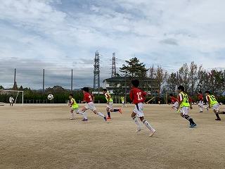 IMG_4381.jpg