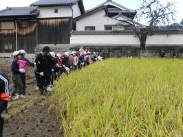 a稲刈り9841.jpg