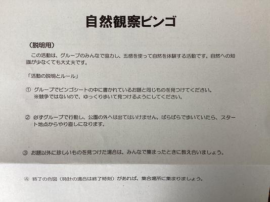 IMG_0203.jpeg