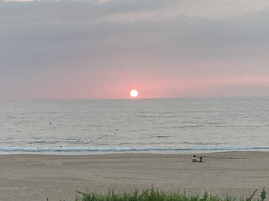 IMG_1786.jpeg