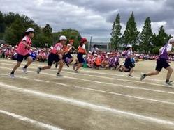 IMG_2467.jpg