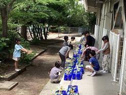 IMG_2359.jpeg