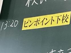 IMG_2395.jpeg