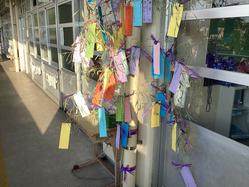 IMG_2766.jpeg