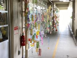 IMG_2819.jpeg