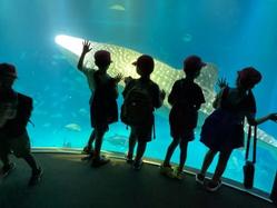 2025-10-14 10.02.19.jpg