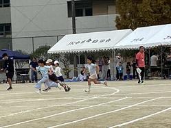 IMG_3392.jpeg