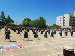 DSCN8678.JPG
