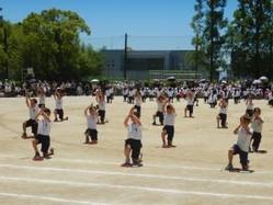 DSCN8709.JPG