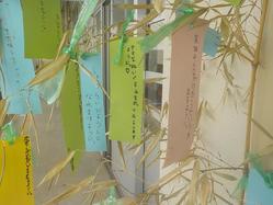 DSCN9020.JPG
