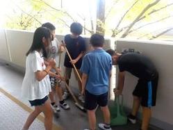 DSCN9243.JPG