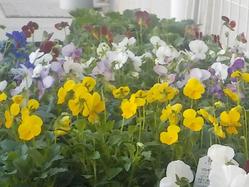 DSCN9723.JPG