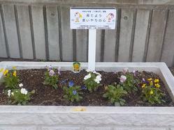 DSCN9738.JPG