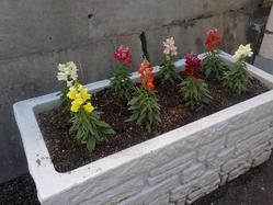 DSCN9741.JPG