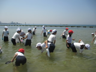 IMG_2541.JPG