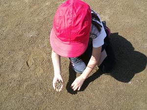 DSCF0149.JPG