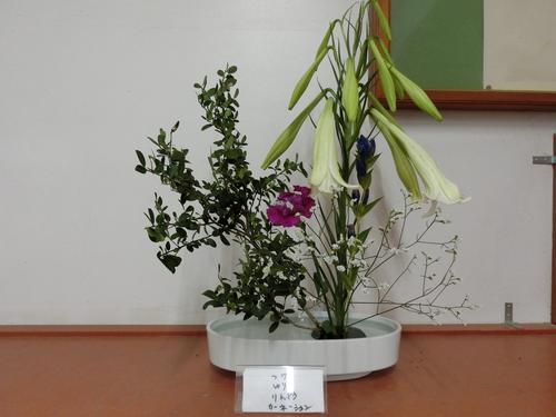 CIMG5674.JPG