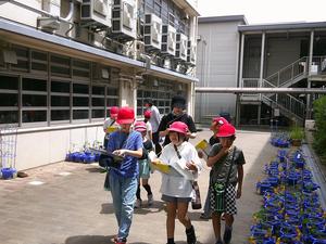 DSCF0044.JPG